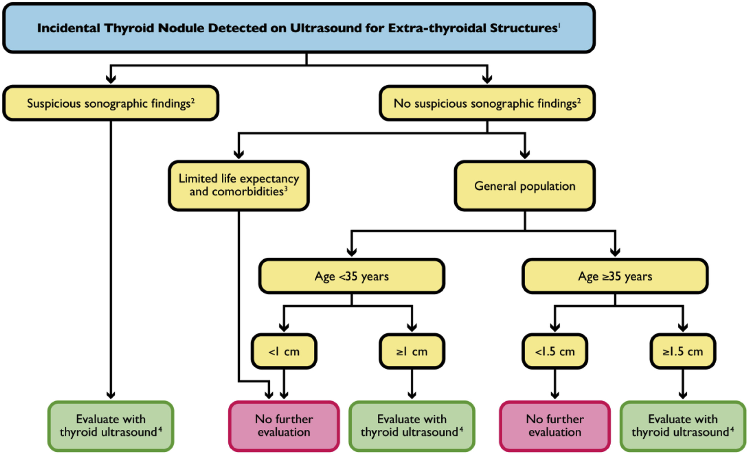 Incidental Thyroid Nodule on US